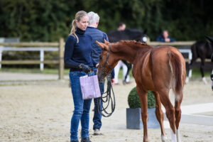 DSC 6317 300x200 - Gelungenes Fohlenchampionat auf dem Burghof