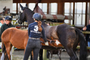 DSC 7386 300x200 - Gelungenes Fohlenchampionat auf dem Burghof