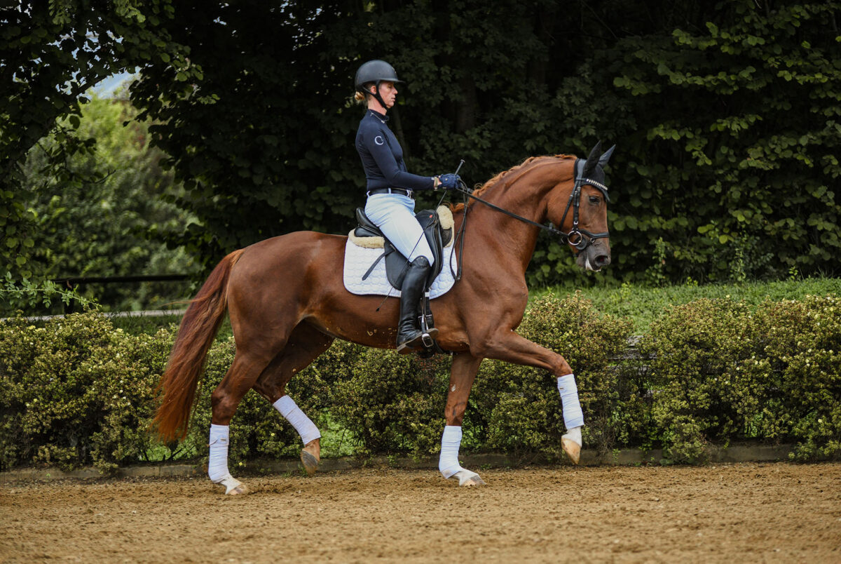 DSC 9338 scaled - Fiona