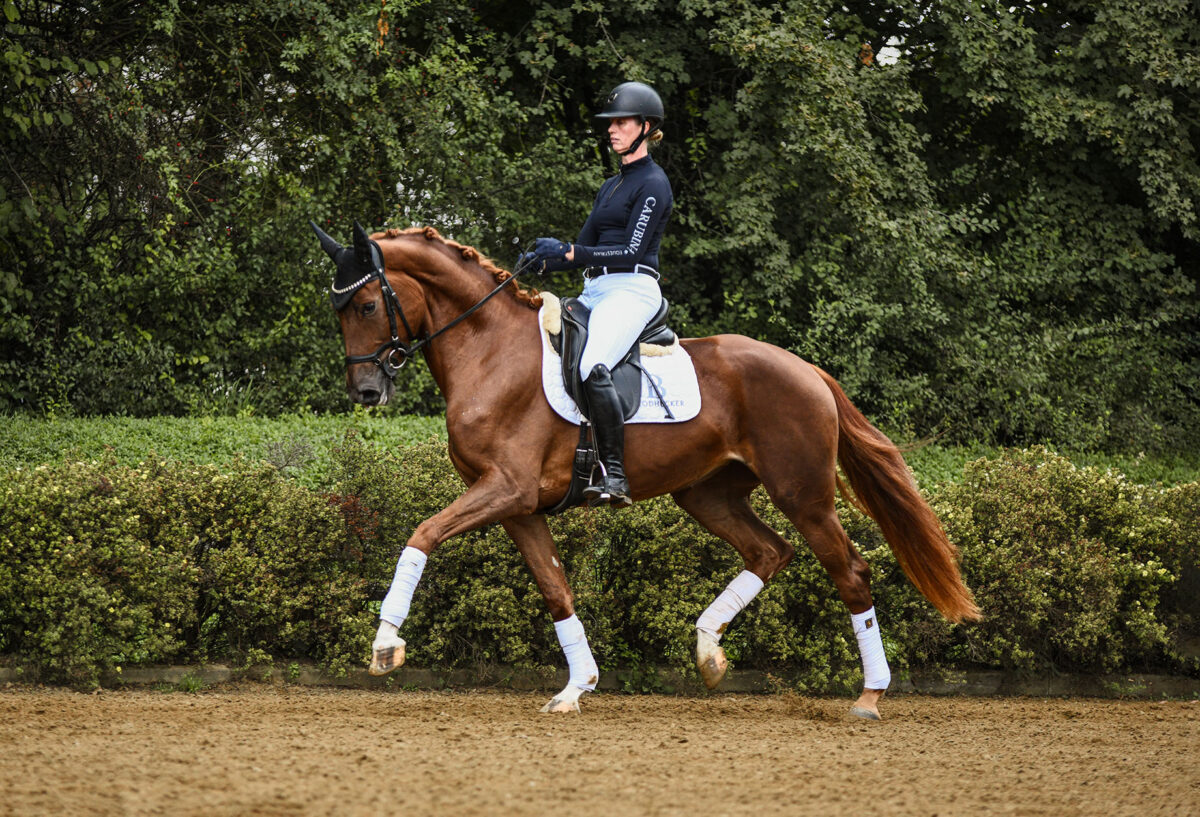 DSC 9438 scaled - Fiona