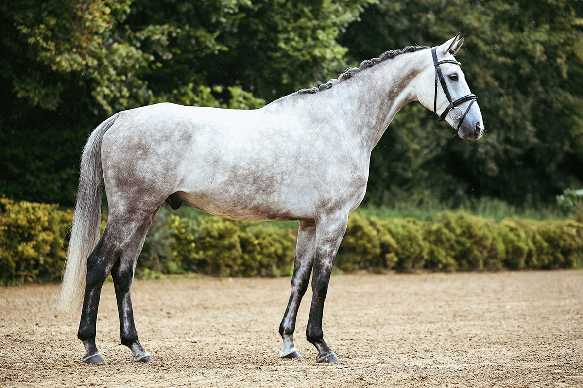 DSC 0270 Kopie - Lugano