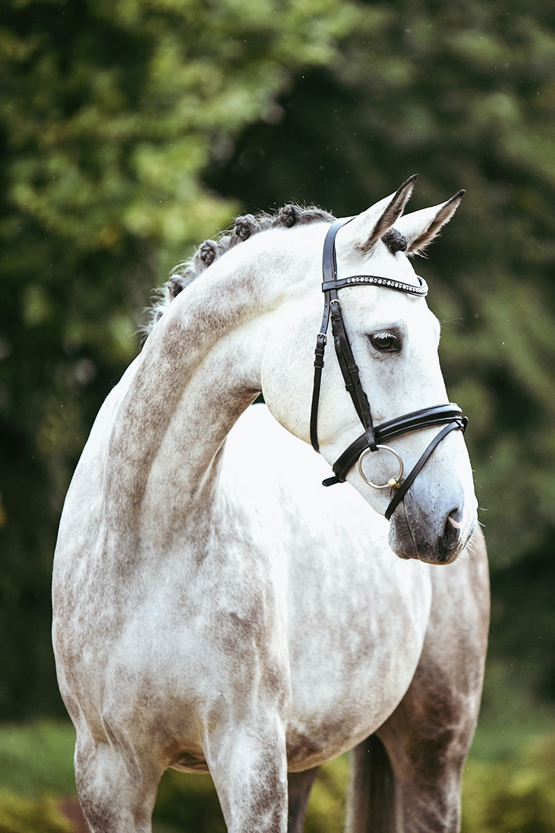 DSC 0324 Kopie - Lugano