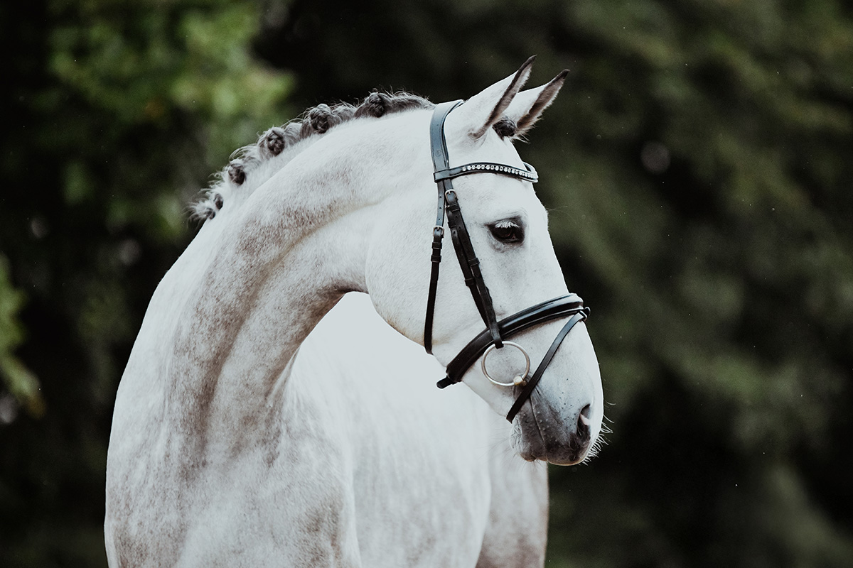 DSC 0329 Kopie - Lugano