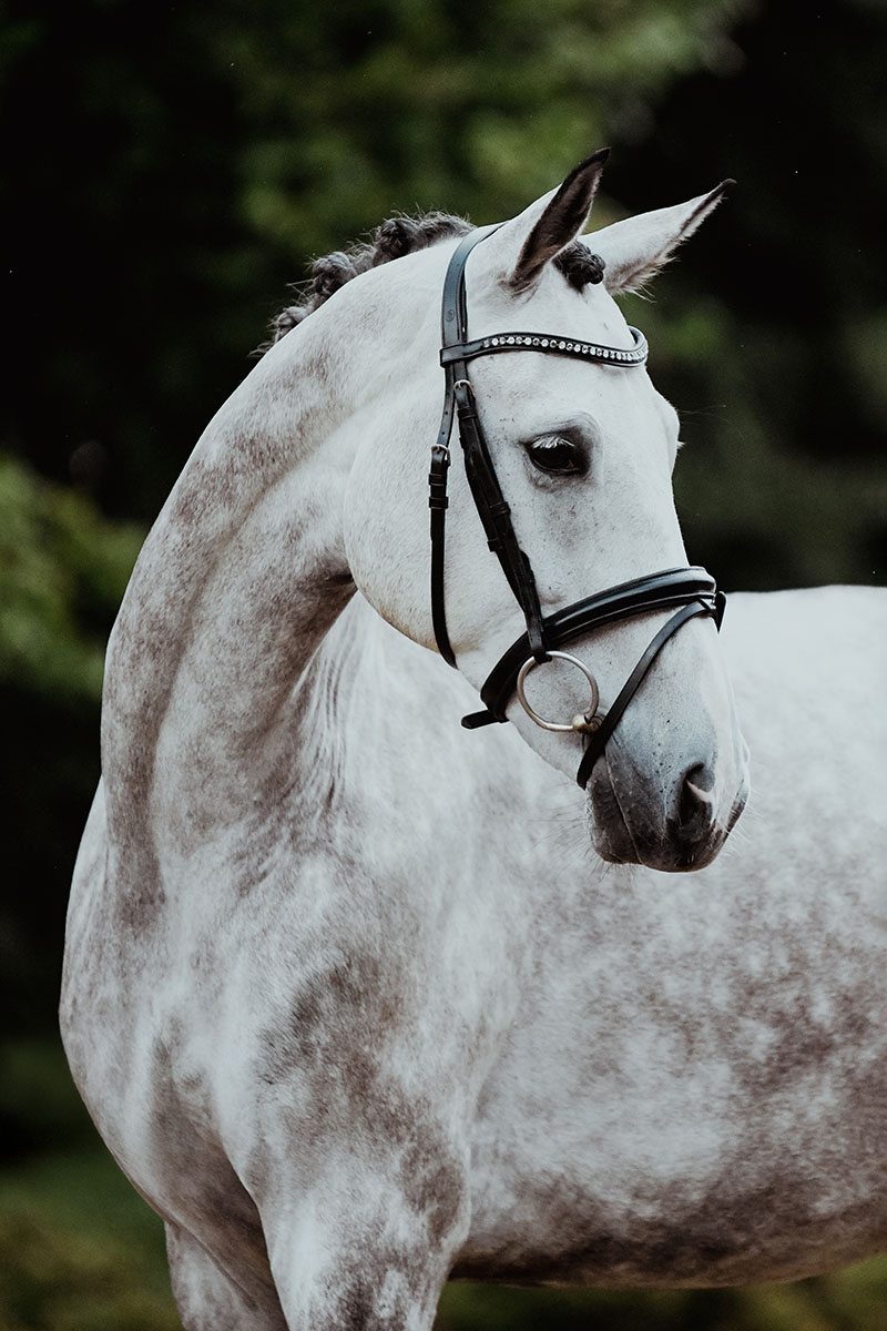 DSC 0341 Kopie - Lugano