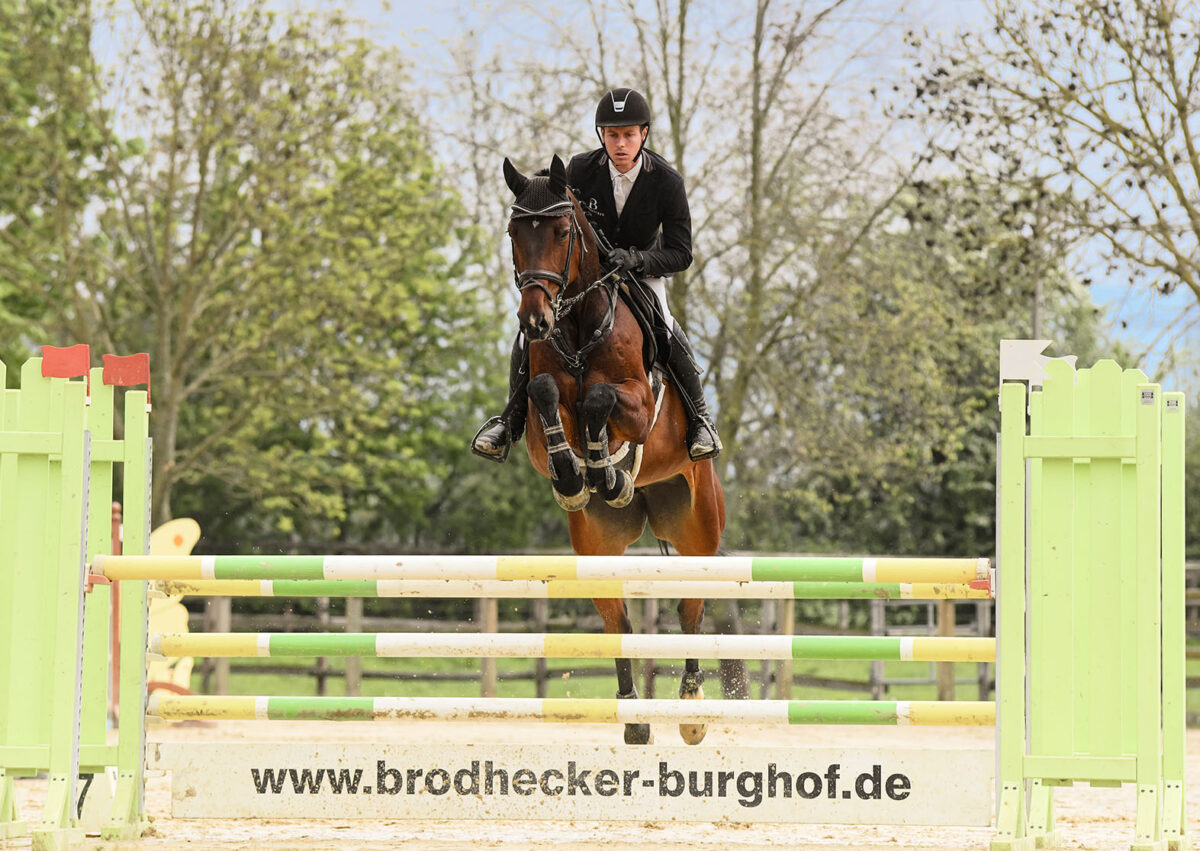 DSC 1434 scaled - Casilla Blue