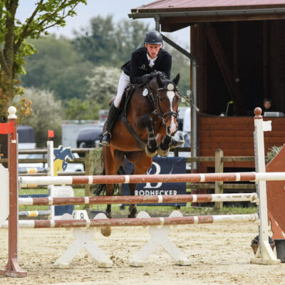 DSC 1669 scaled e1747242380587 400x400 - Sportpferde
