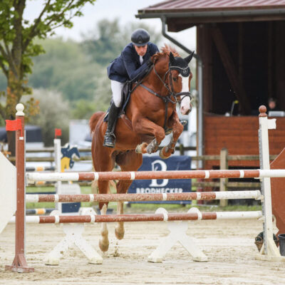 DSC 1800 scaled 400x400 - Sportpferde