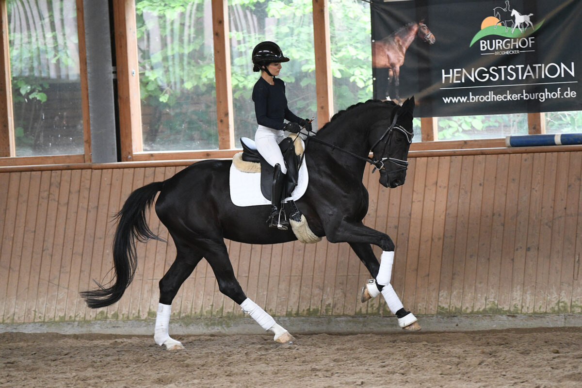 DSC 4714 scaled - Sigrid