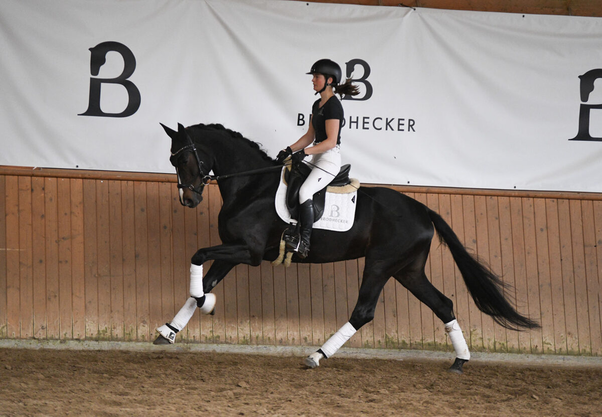 DSC 5796 scaled - Dalina