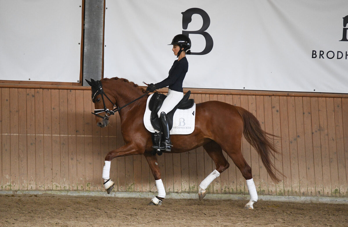 DSC 7072 scaled - Grace de Luxe (RP)