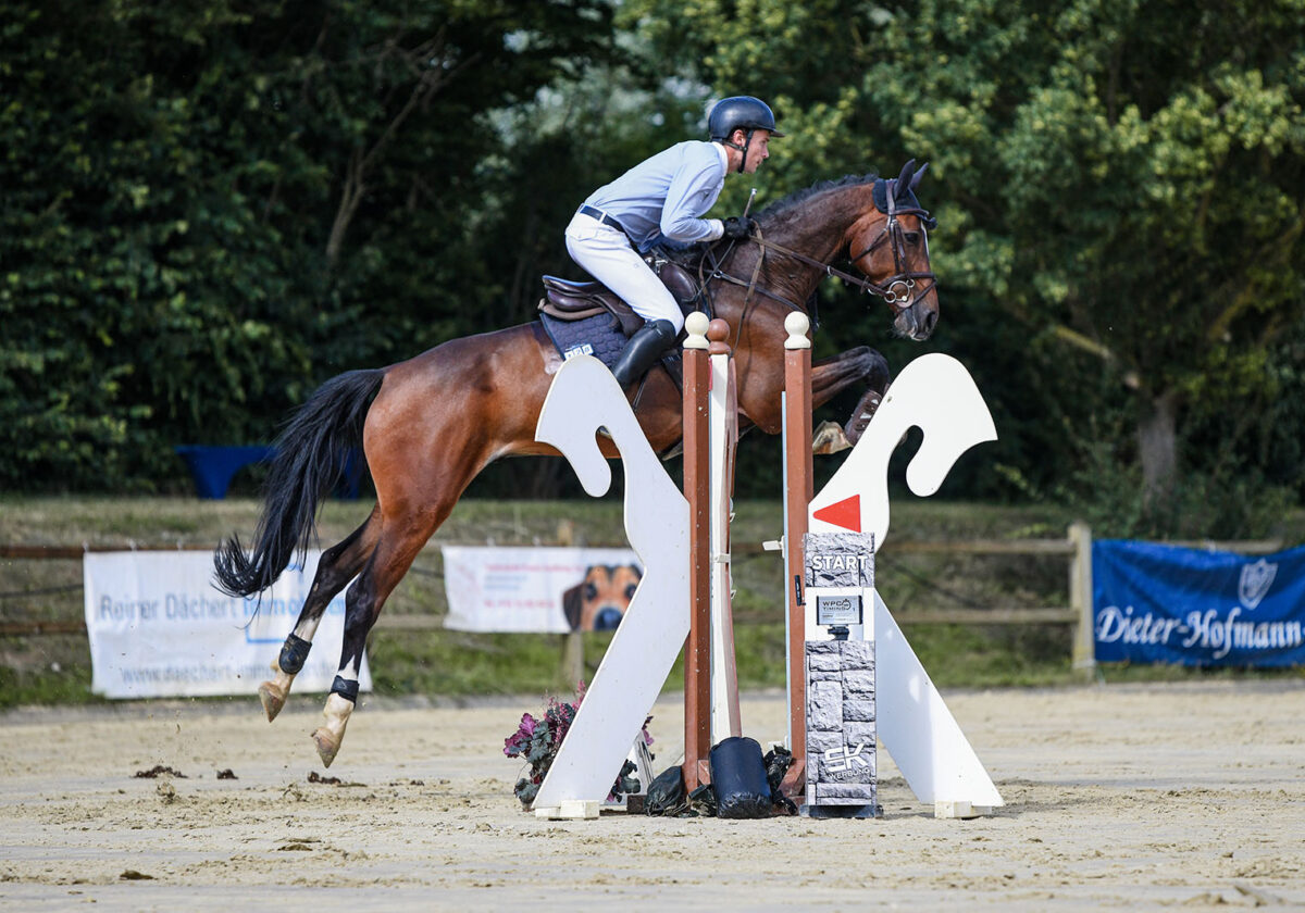DSC 7516 scaled - Ujax