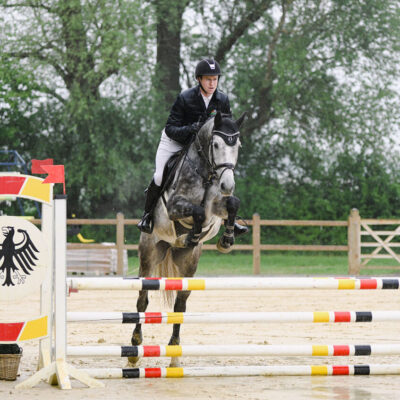 DSC 8713 scaled 400x400 - Sportpferde