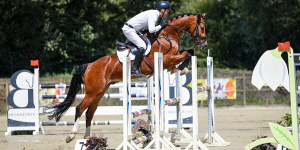 DSC 6336 scaled 600x300 - Home