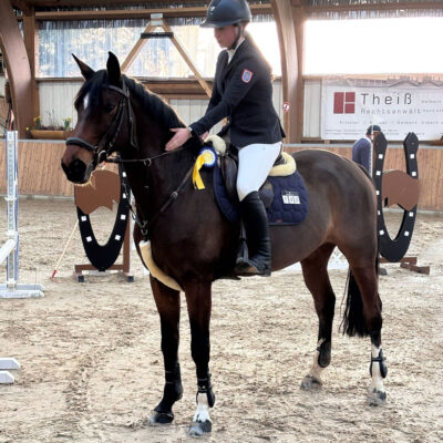 Sportpferde Caleya 400x400 - Sportpferde