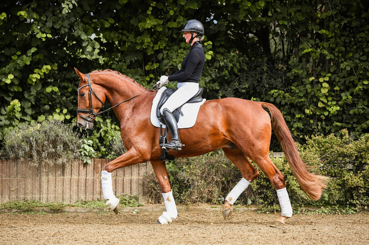 DSC 1006 scaled - No. 14: Wie Wicky