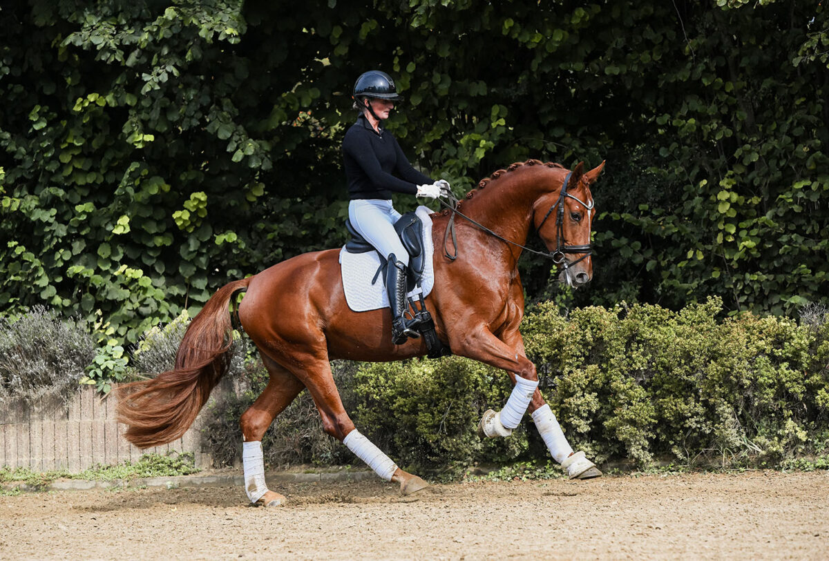 DSC 1121 scaled - No. 14: Wie Wicky