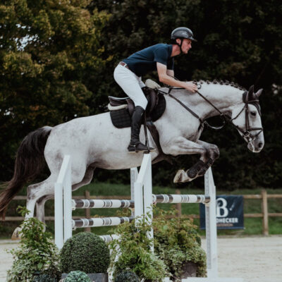 DSC 6953 1 scaled 400x400 - Sporthorses for Sale