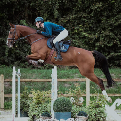 DSC 7221 1 scaled 400x400 - Sporthorses for Sale