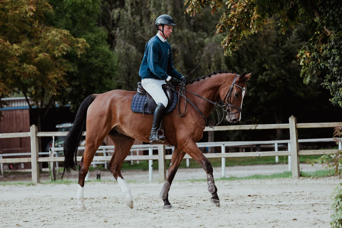DSC 7247 scaled - No. 5: Cooper