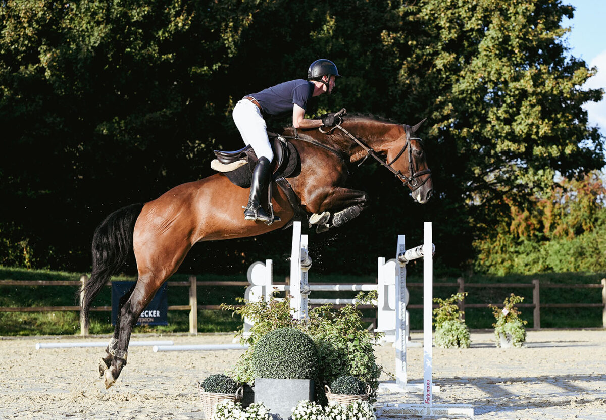 DSC 7603 Kopie scaled - Nr. 32: Classic Dream