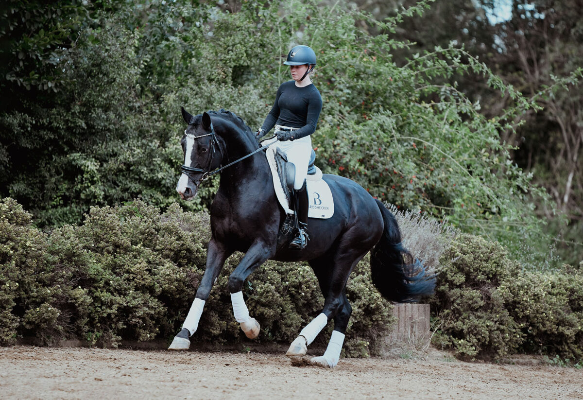 DSC 7747 scaled - No. 31: Damian