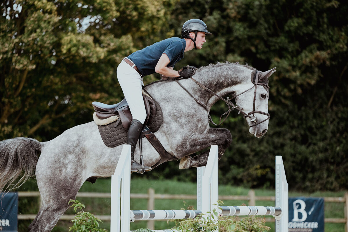DSC 8047 scaled - Nr. 28: Hicksteads Hermes