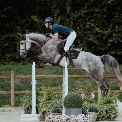 DSC 8054 scaled 400x400 - Sportpferde