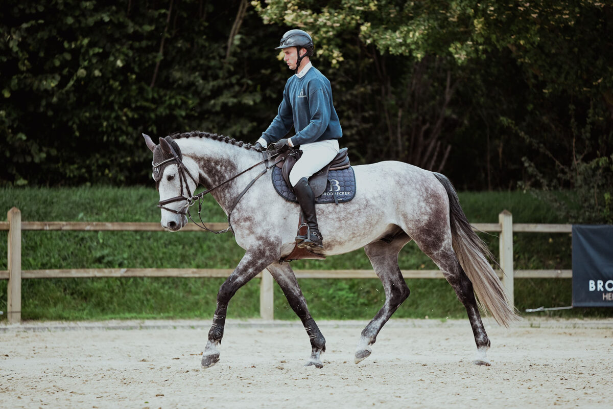 DSC 8337 scaled - Nr. 7: Cannavaro