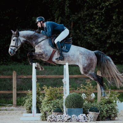 DSC 8441 scaled 400x400 - Sportpferde