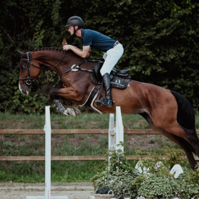 DSC 8984 1 scaled 400x400 - Sporthorses for Sale