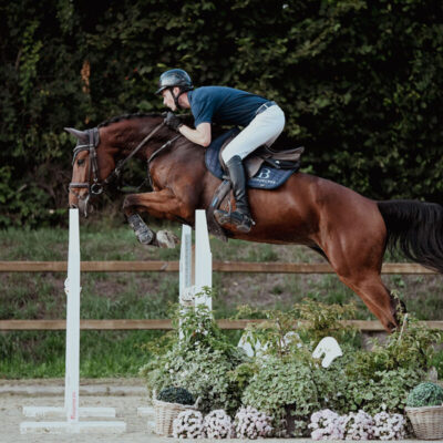 DSC 9569 1 scaled 400x400 - Sporthorses for Sale
