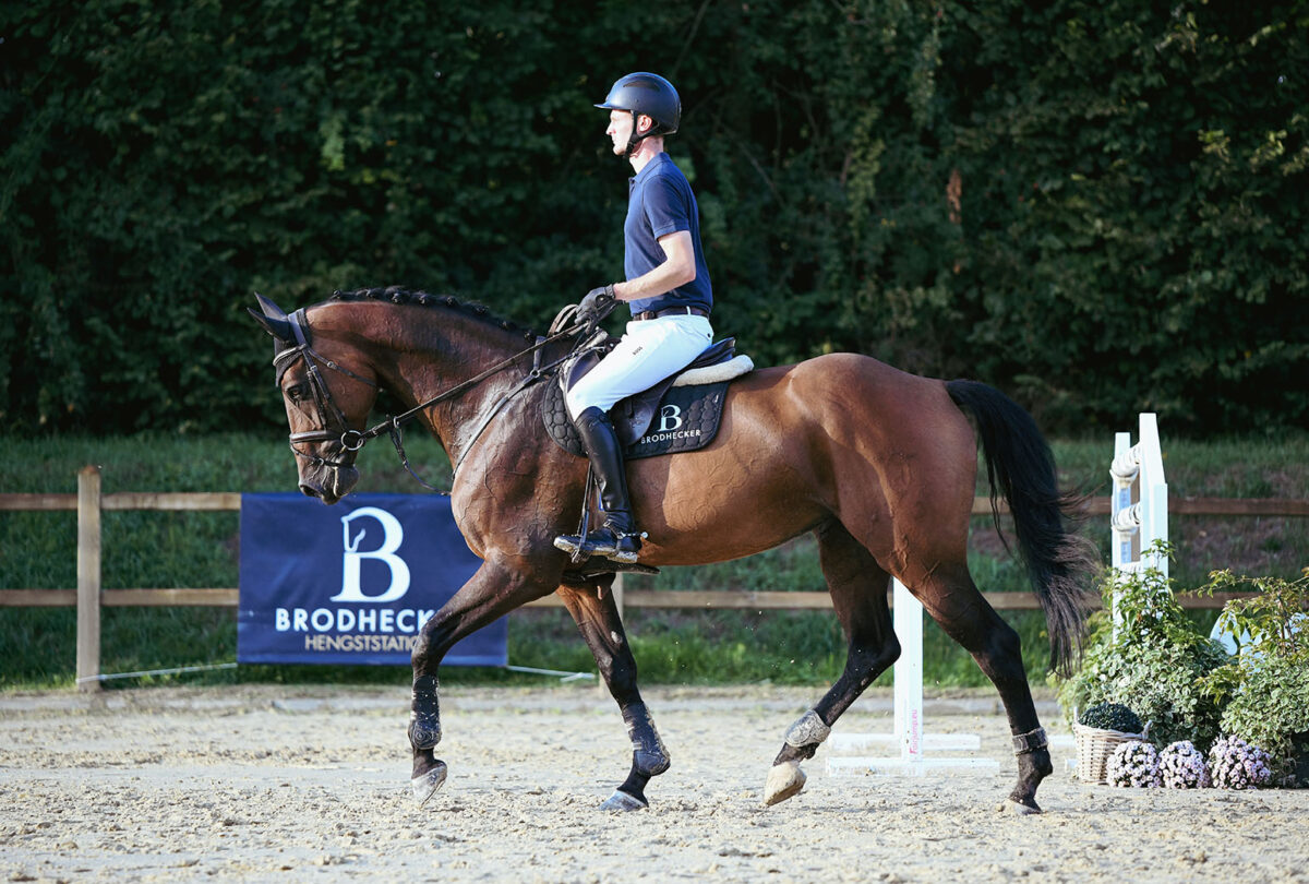 DSC 9670 scaled - Nr. 32: Classic Dream
