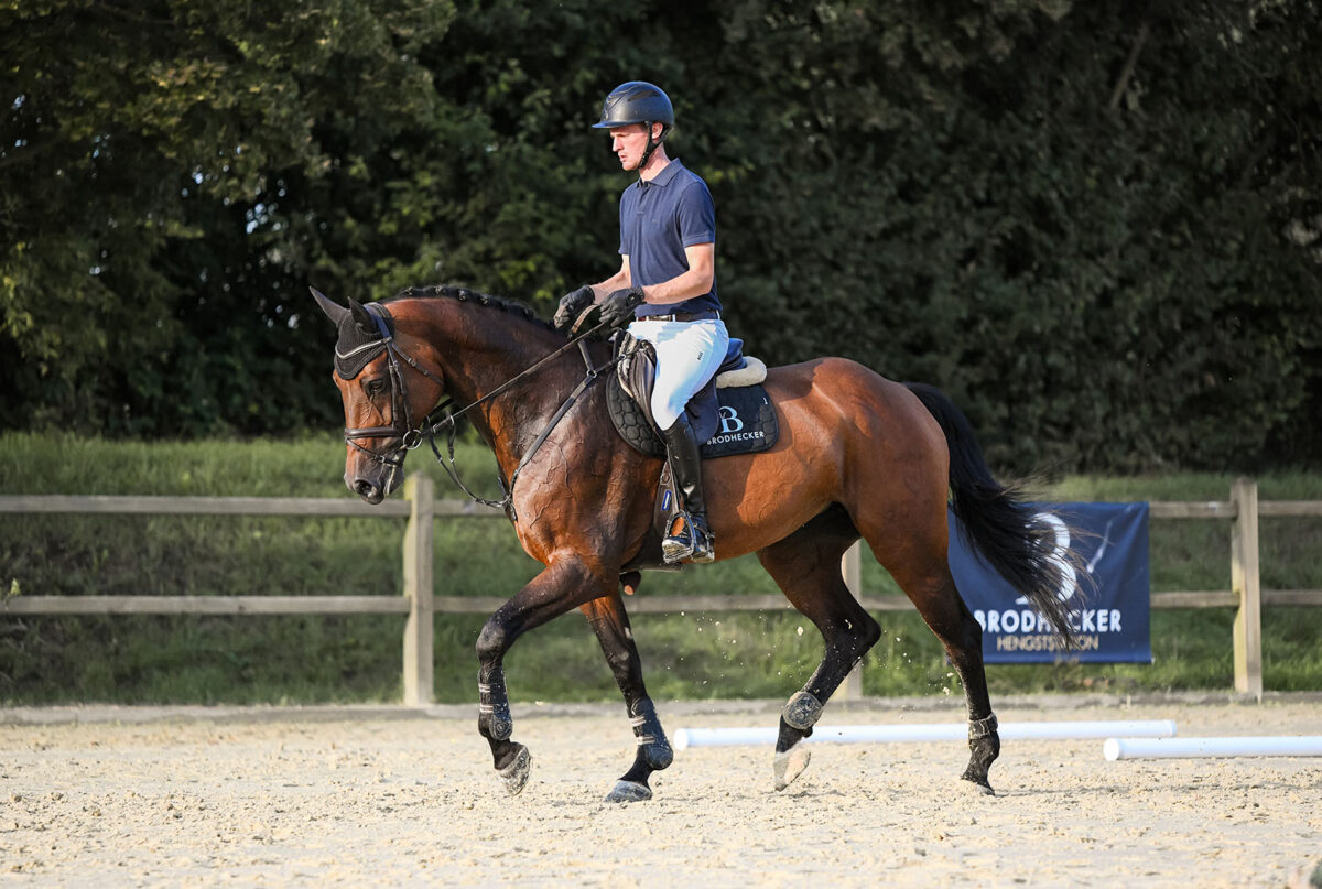 DSC 9704 scaled - Nr. 32: Classic Dream