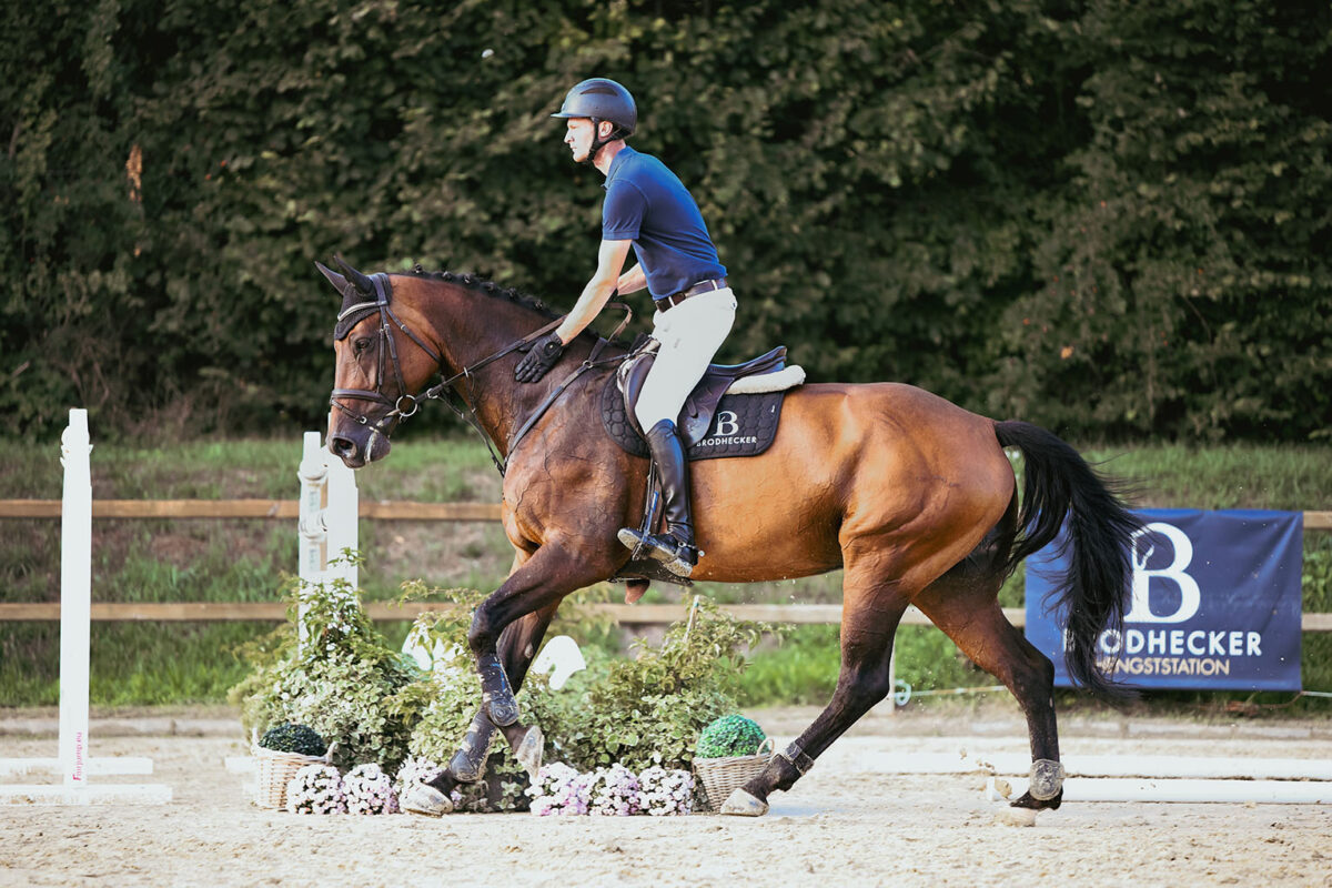 DSC 9744 scaled - Nr. 32: Classic Dream