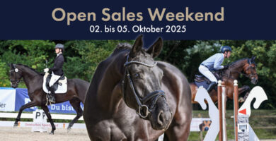 open sales weekend