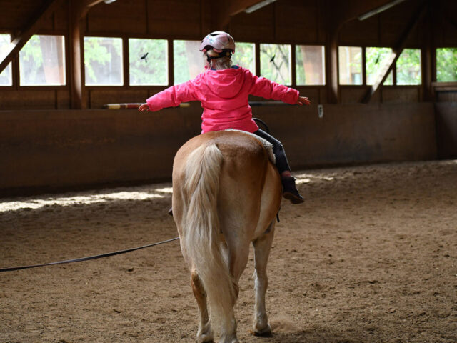 Longe scaled 640x480 - Reitschule - Unser Reitangebot