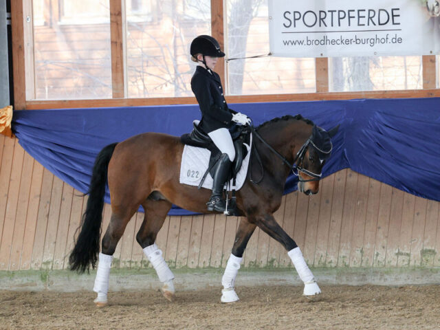 Privat scaled 640x480 - Reitschule - Unser Reitangebot