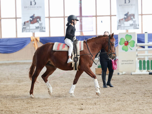 Volti 1 scaled 640x480 - Reitschule - Unser Reitangebot