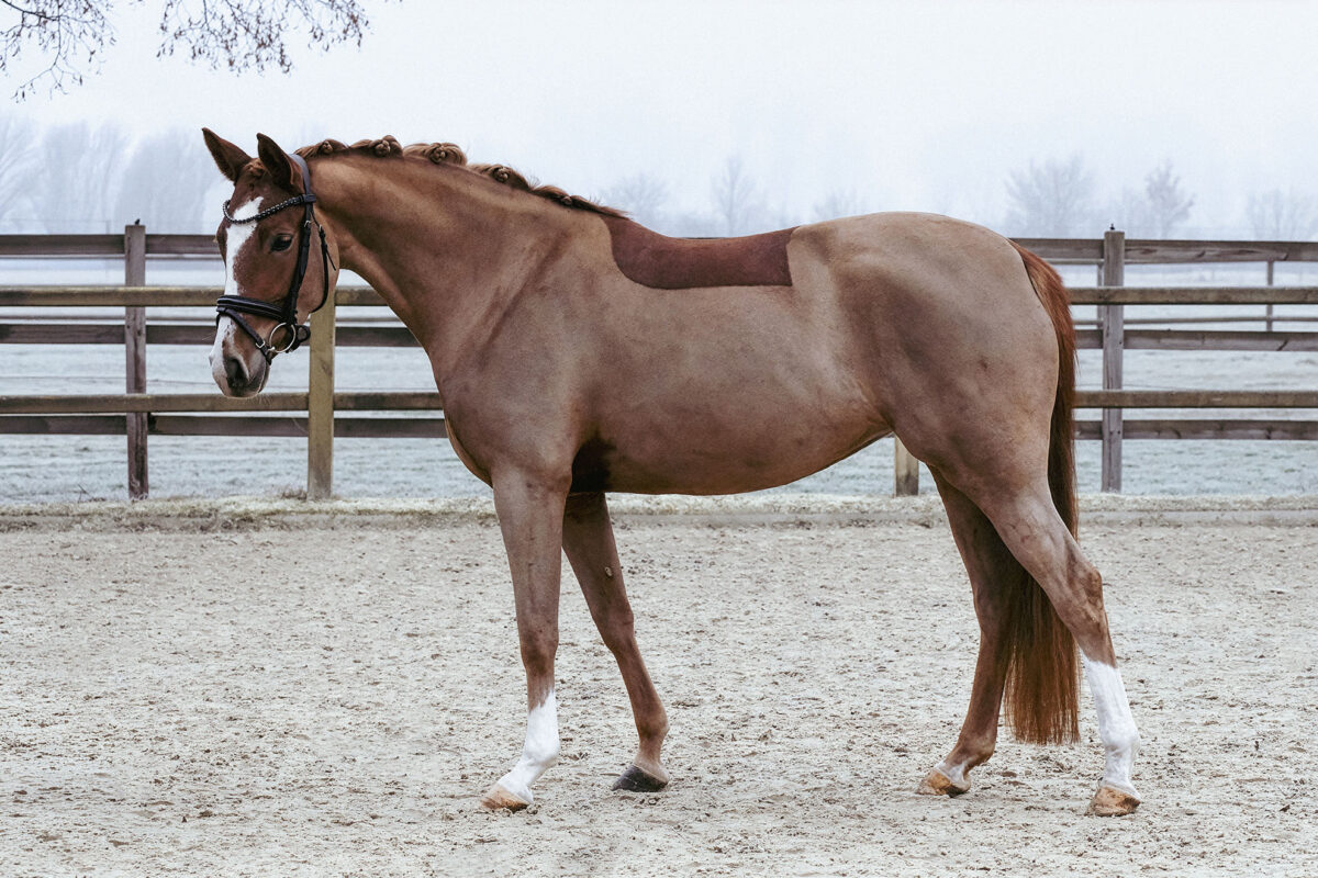 DSC 3572  scaled - Mary Fine (RP)