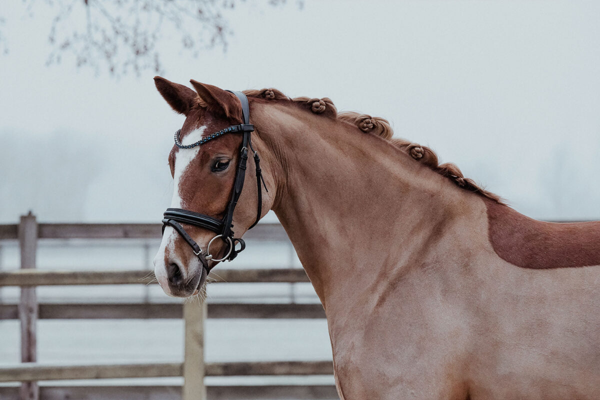 DSC 3605  scaled - Mary Fine (RP)