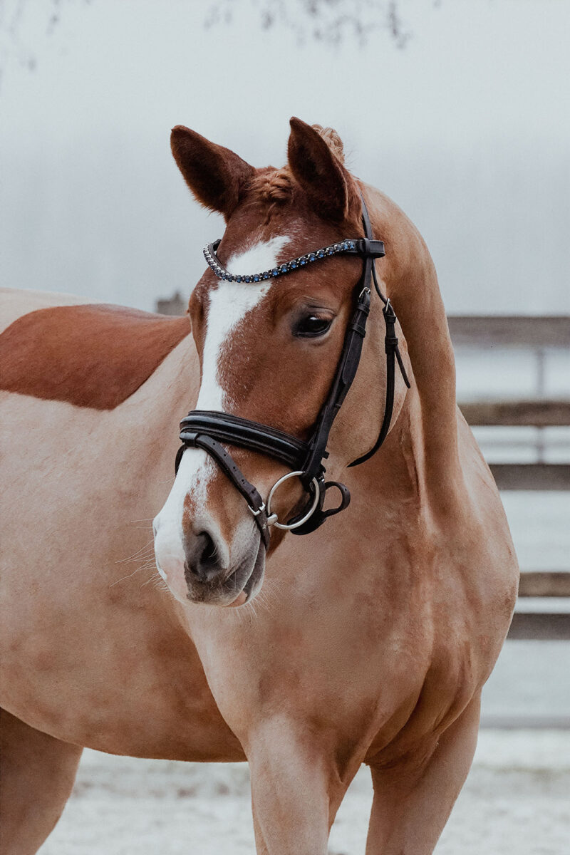 DSC 3641  scaled - Mary Fine (RP)