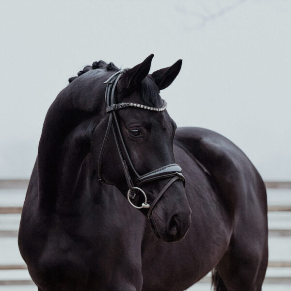 DSC 3747  scaled 600x600 - Home