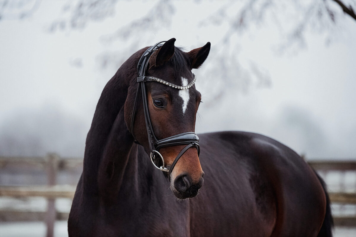 Die Hübsche DSC 4051 scaled - Die Hübsche