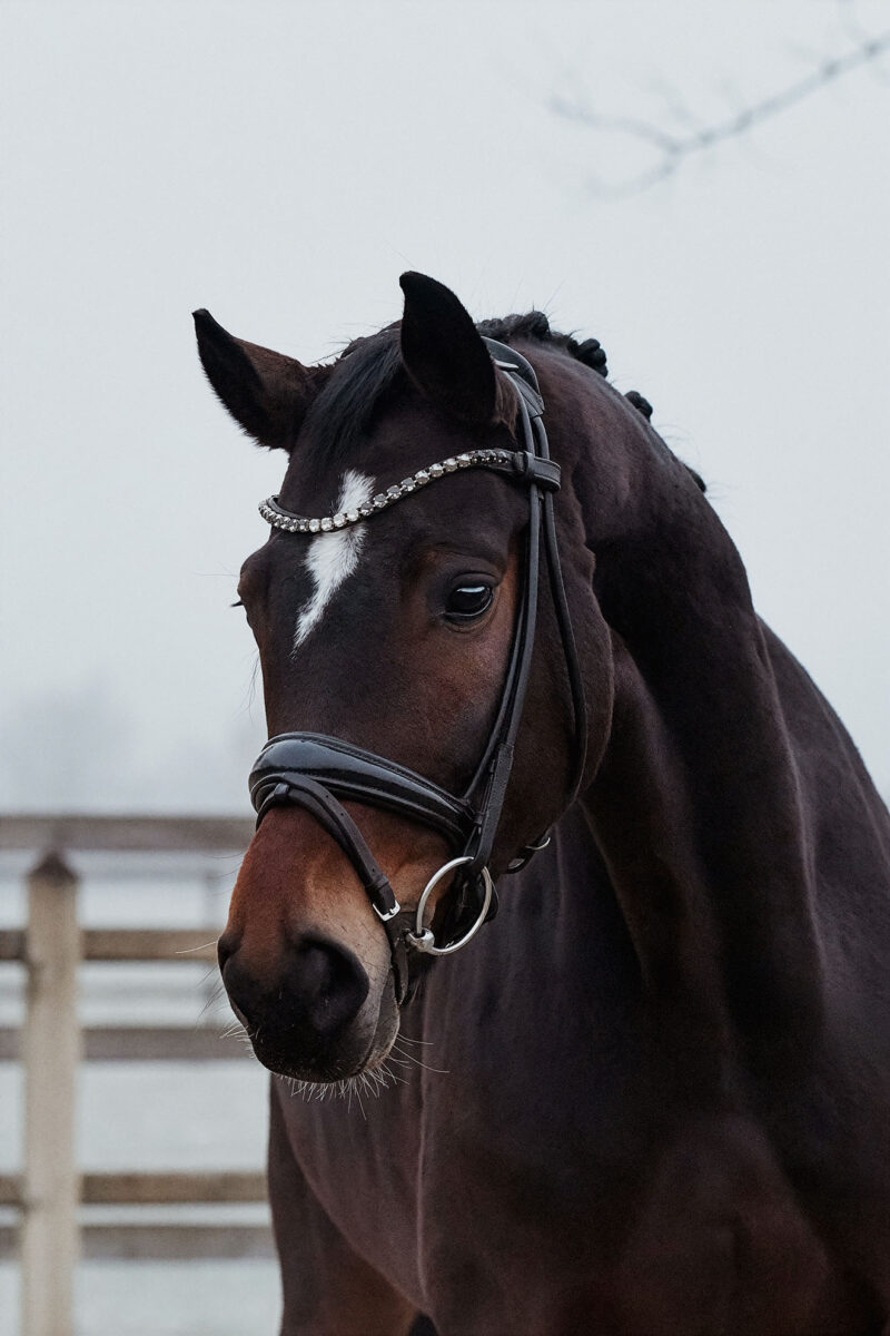 Die Hübsche DSC 4085 scaled - Die Hübsche