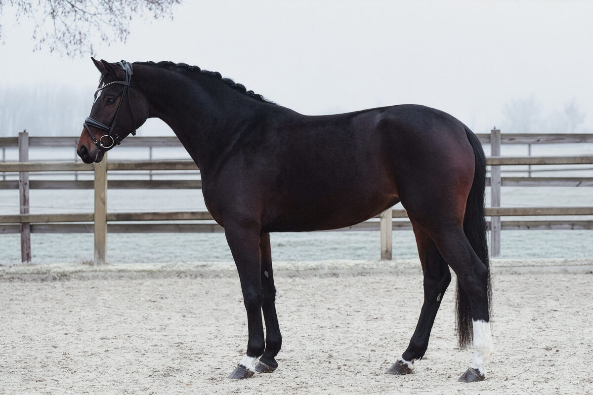 Die Hübsche DSC 4099 scaled - Die Hübsche