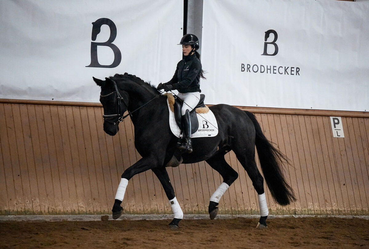 Fiderio DSC 4555 scaled - Fiderio