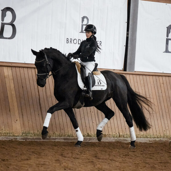 DSC 4593  scaled 600x600 - Home