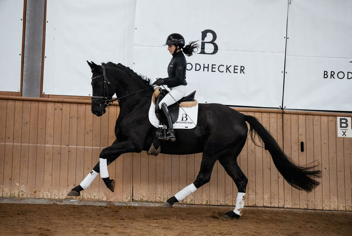 Fiderio DSC 4679 scaled - Fiderio