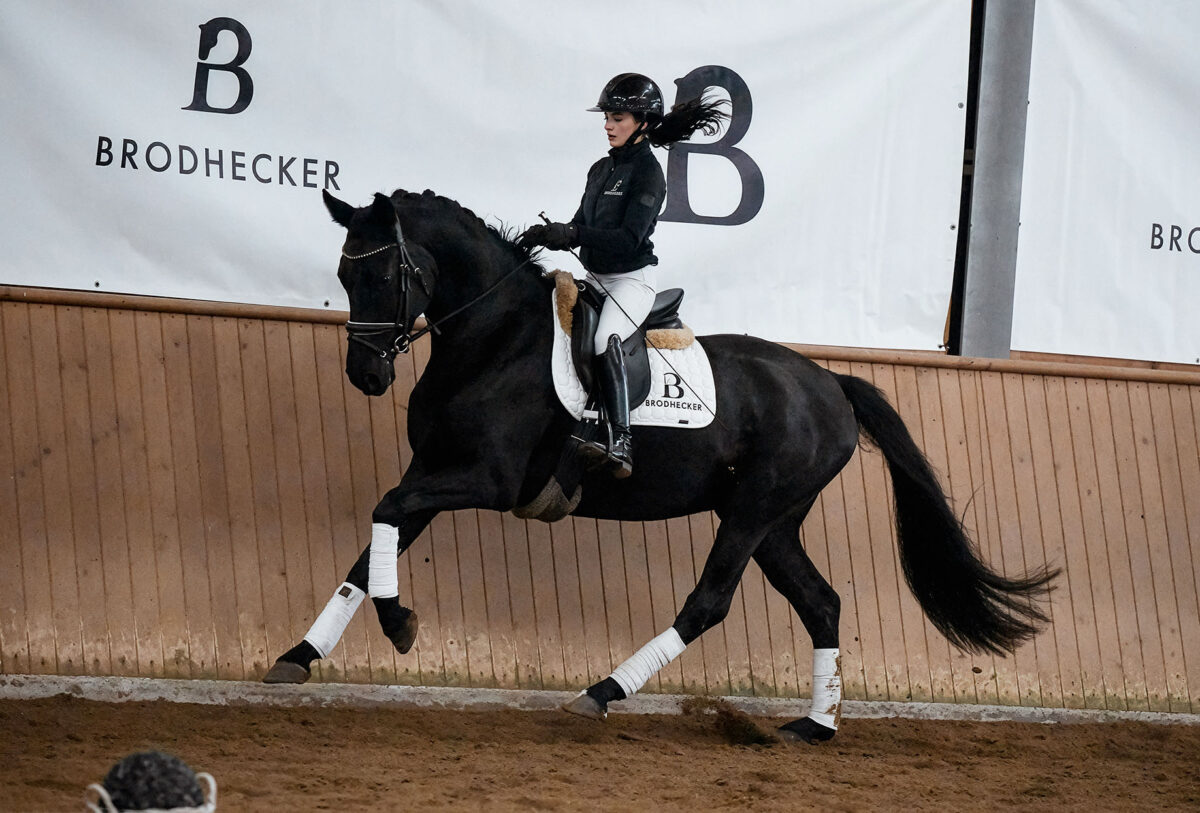 Fiderio DSC 4700 scaled - Fiderio