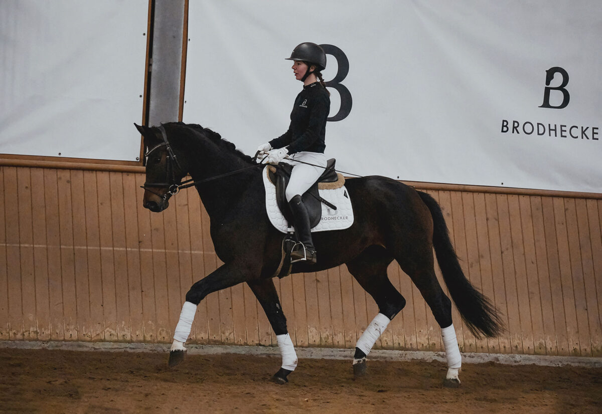 Die Hübsche DSC 4786 scaled - Die Hübsche